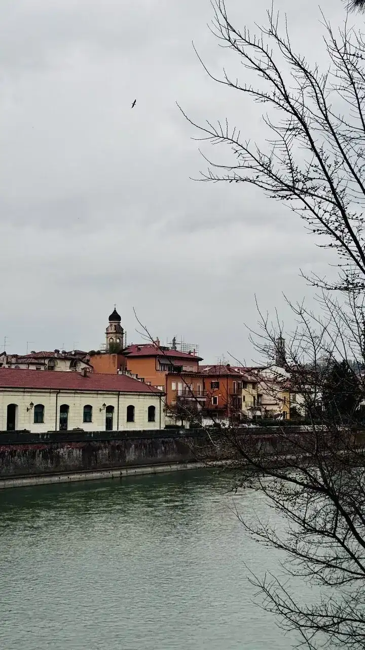 Verona Bridge With Tree And Towers